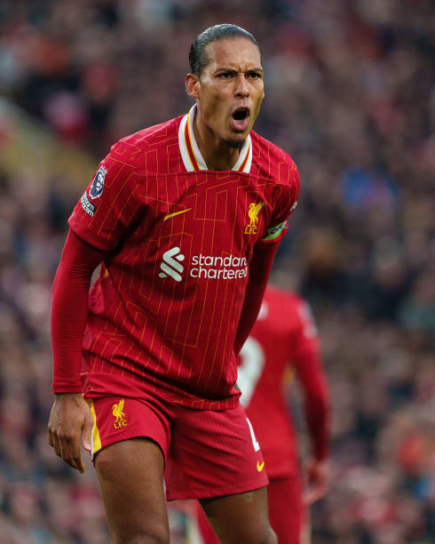 强大的适应 强大的适应