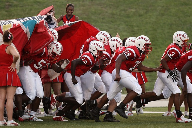 年輕新星的 年輕新星的